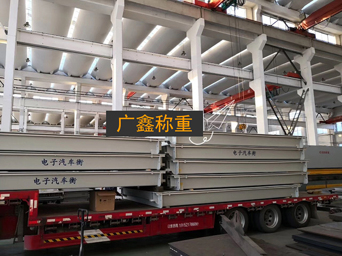 打扑克剧烈运动软件视频